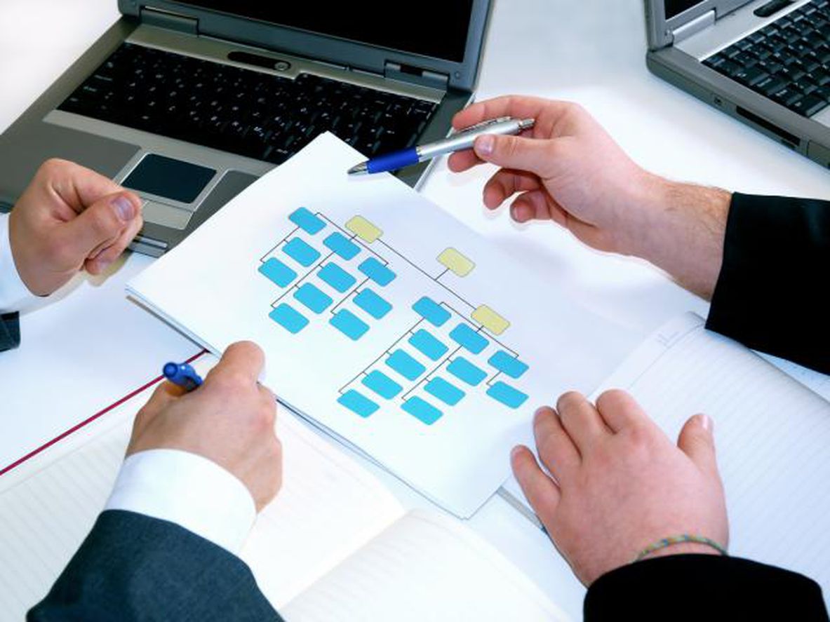 الهيكل التنظيمي  